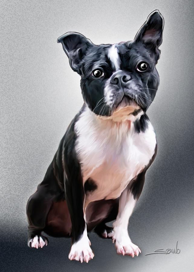Boston Terrier by Spano Painting by Michael Spano