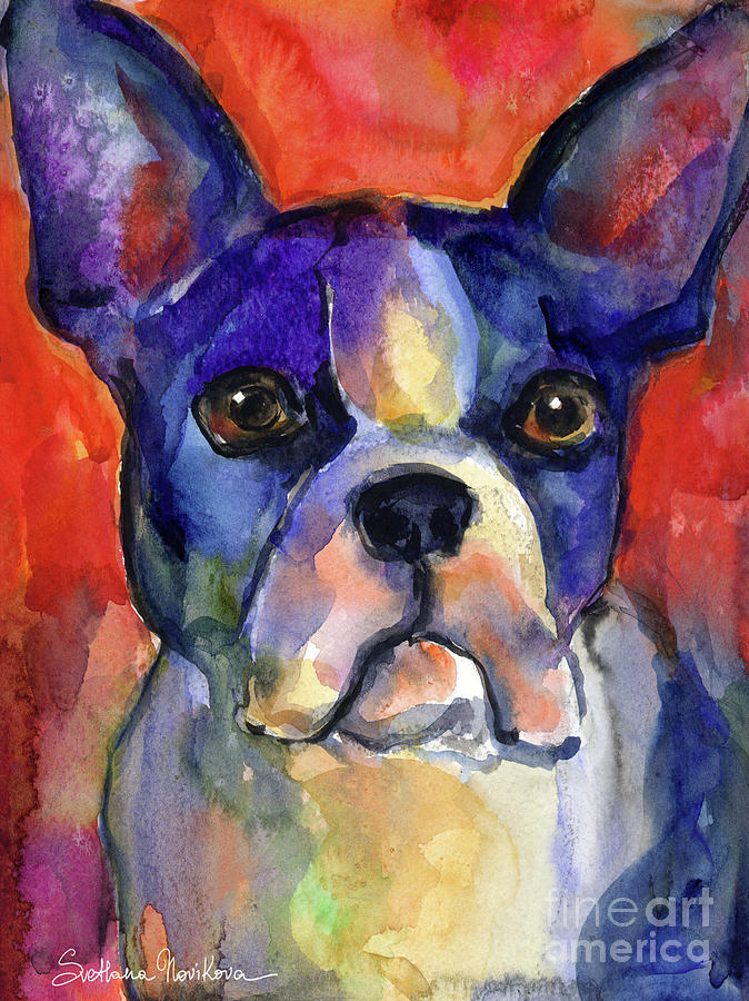 Austin Painting - Boston Terrier dog painting  by Svetlana Novikova