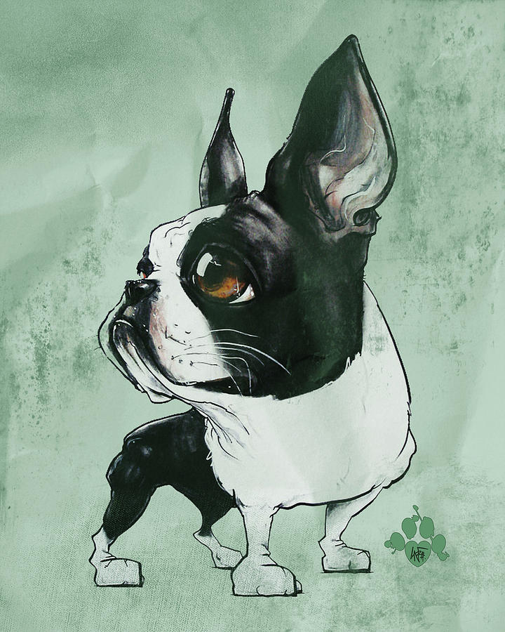 Boston Terrier - Green  Drawing by Canine Caricatures By John LaFree