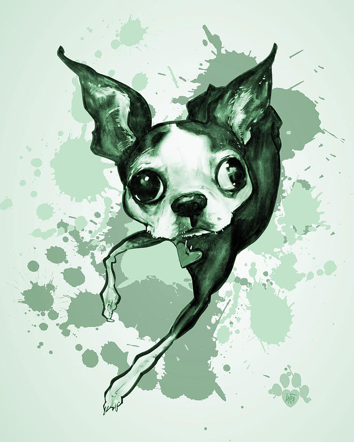 Boston Terrier - Green Paint Splatter Drawing by John LaFree