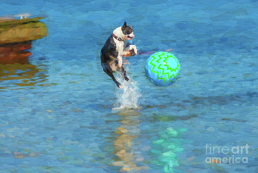 Boston Terrier Jump - painterly Digital Art by Les Palenik