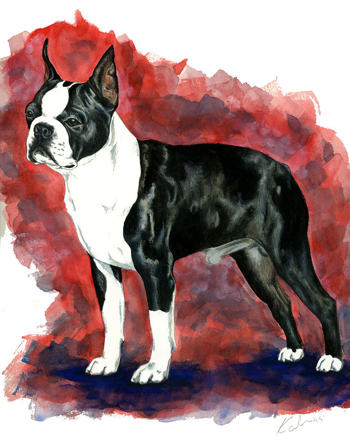 Christmas Painting - Boston Terrier by Kathleen Sepulveda