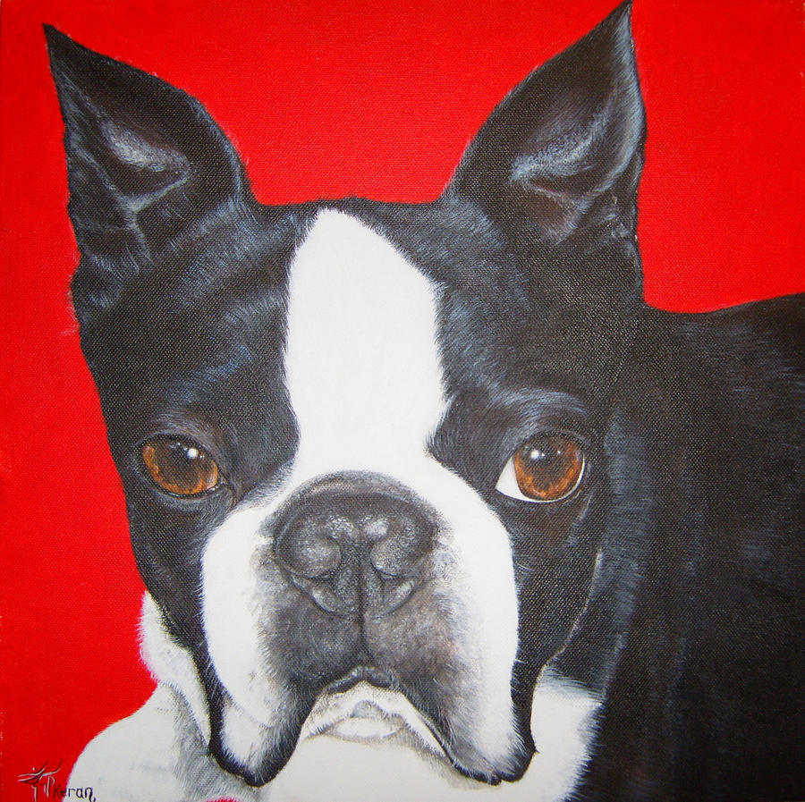 Boston Terrier Painting by Keran Sunaski Gilmore