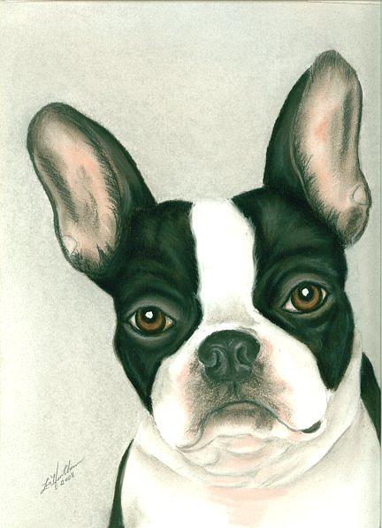 Boston Terrier Painting - Boston Terrier by Linda Henthorn