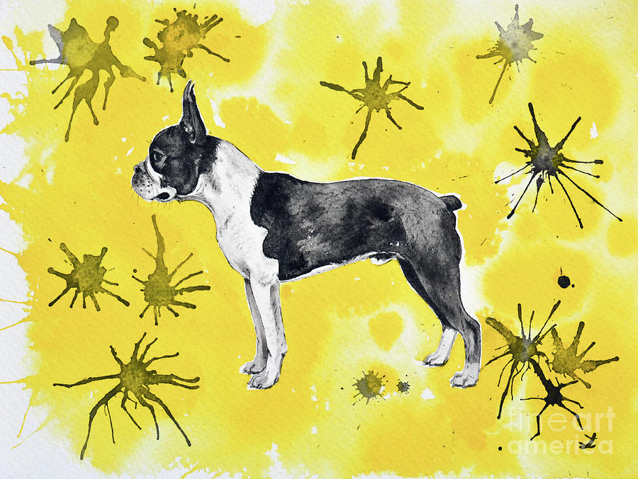 Boston Terrier on Yellow Painting by Zaira Dzhaubaeva