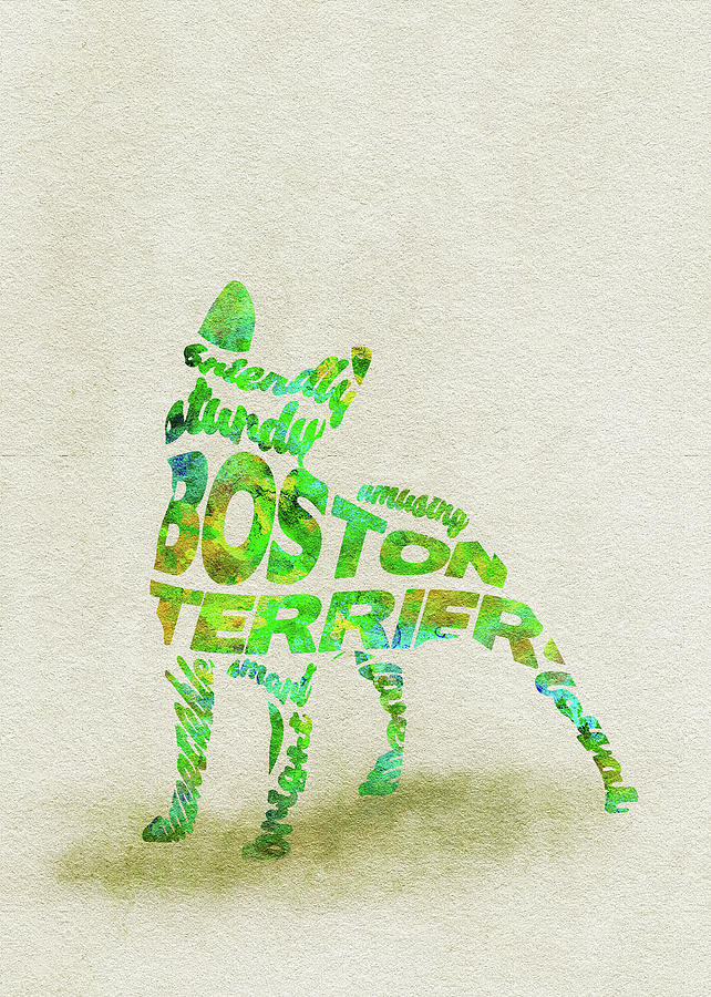 Boston Terrier Watercolor Painting / Typographic Art Painting by Inspirowl Design