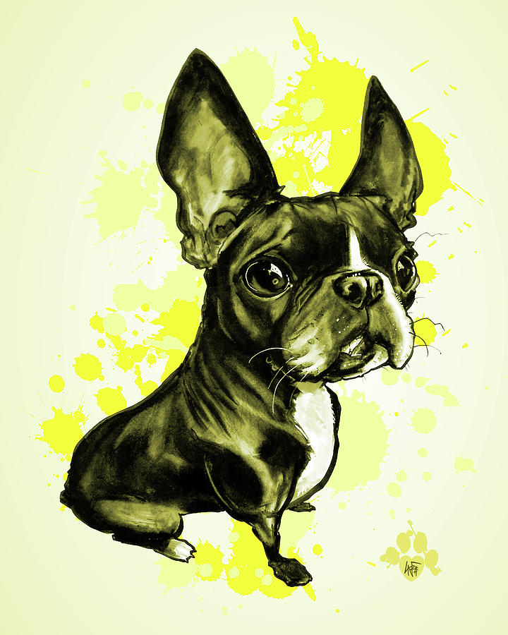 Boston Terrier - Yellow Paint Splatter Drawing by John LaFree