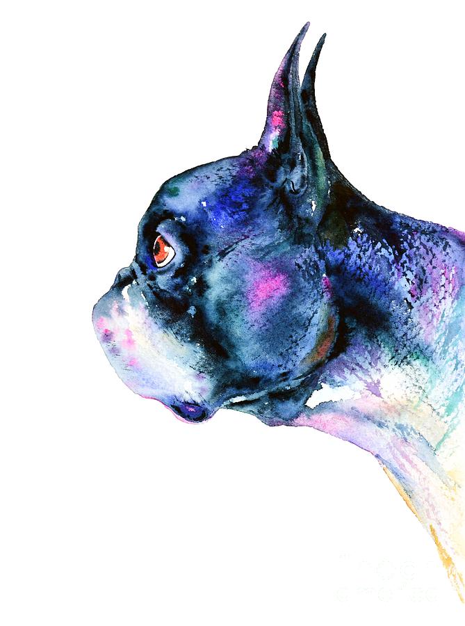 Boston Terrier  Painting by Zaira Dzhaubaeva