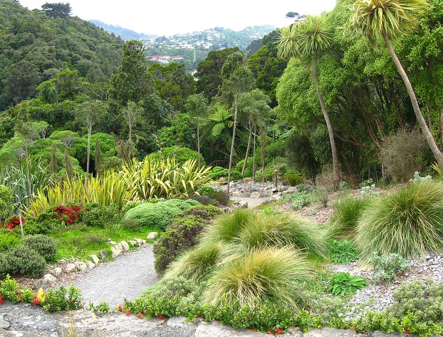 Botanic Gardens Wellington New Zealand Photograph by Gretchen Wrede