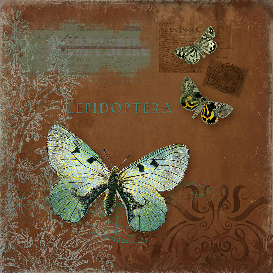 Botanica Vintage Butterflies n Moths Collage 4 Painting by Audrey Jeanne Roberts