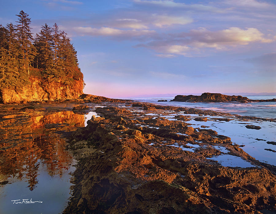 Landscape Photograph - Botanical Beach Provincial Park, BC by Tim Fitzharris