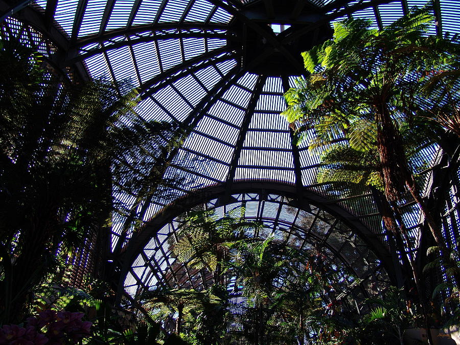 San Diego Photograph - Botanical Building Atrium 2 - Balboa Park by Glenn McCarthy Art and Photography