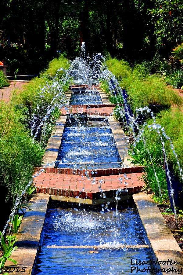 Botanical Garden Fountain Photograph by Lisa Wooten
