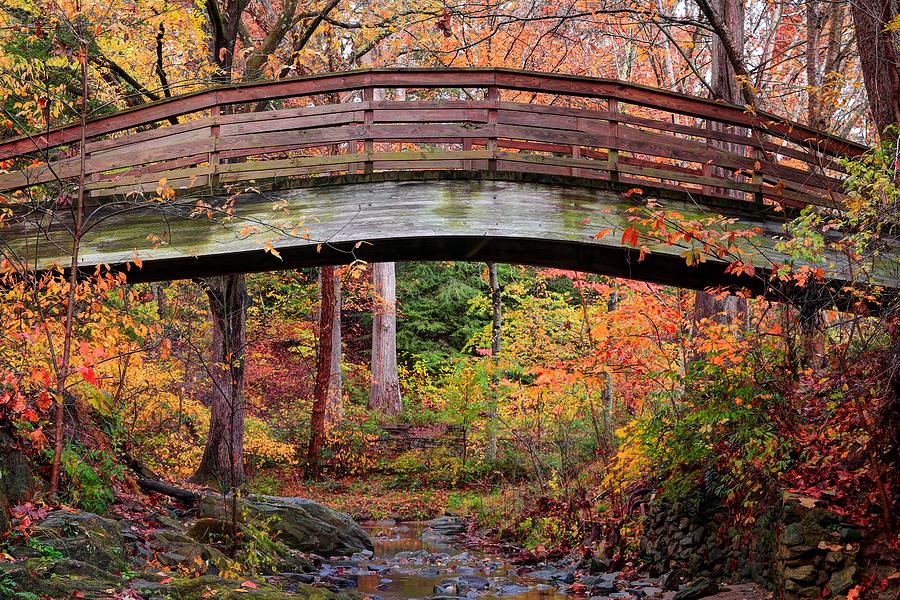 Botanical Gardens Arched Bridge Asheville During Fall Photograph by Carol Montoya