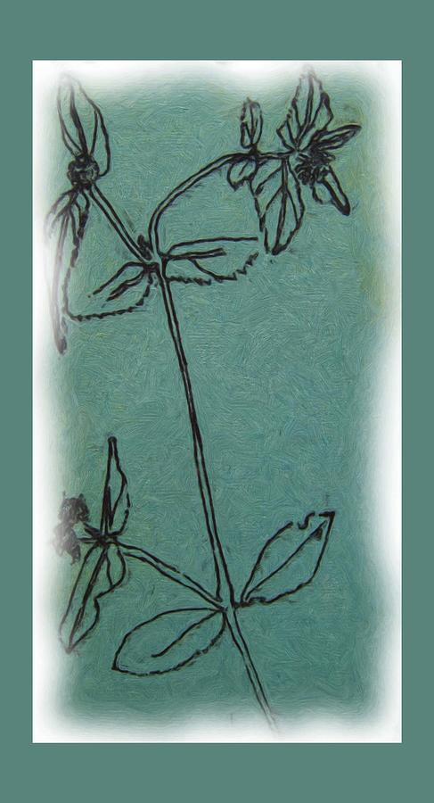 Botanical Herb Drawing by Lessandra Grimley