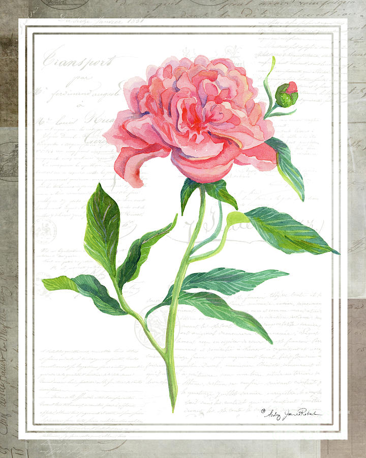 Botanical Vintage Style Watercolor Floral 1 - Peony Painting by Audrey Jeanne Roberts