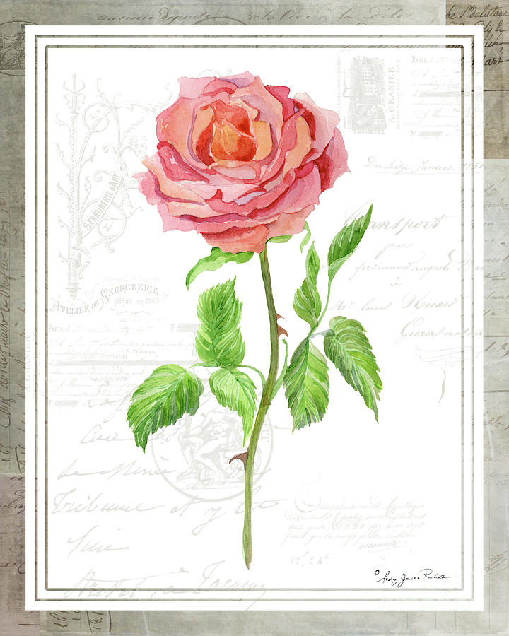 Botanical Vintage Style Watercolor Floral 2 - Pink English Rose Painting by Audrey Jeanne Roberts