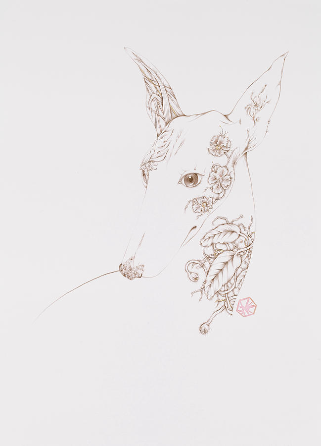 Botanicalia Greyhound Drawing by Karen Robey