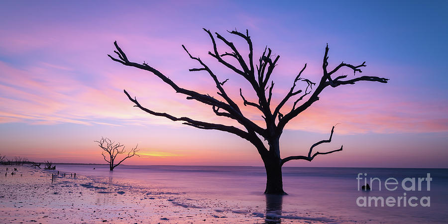 Botany Bay Beach at Dawn  Photograph by Michael Ver Sprill