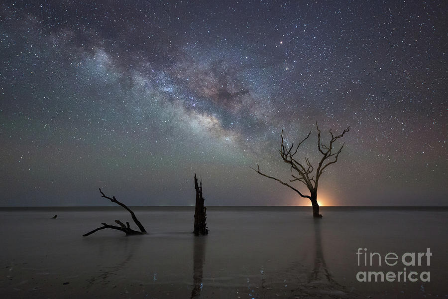 Botany Bay Beach Under The Stars  Photograph by Michael Ver Sprill
