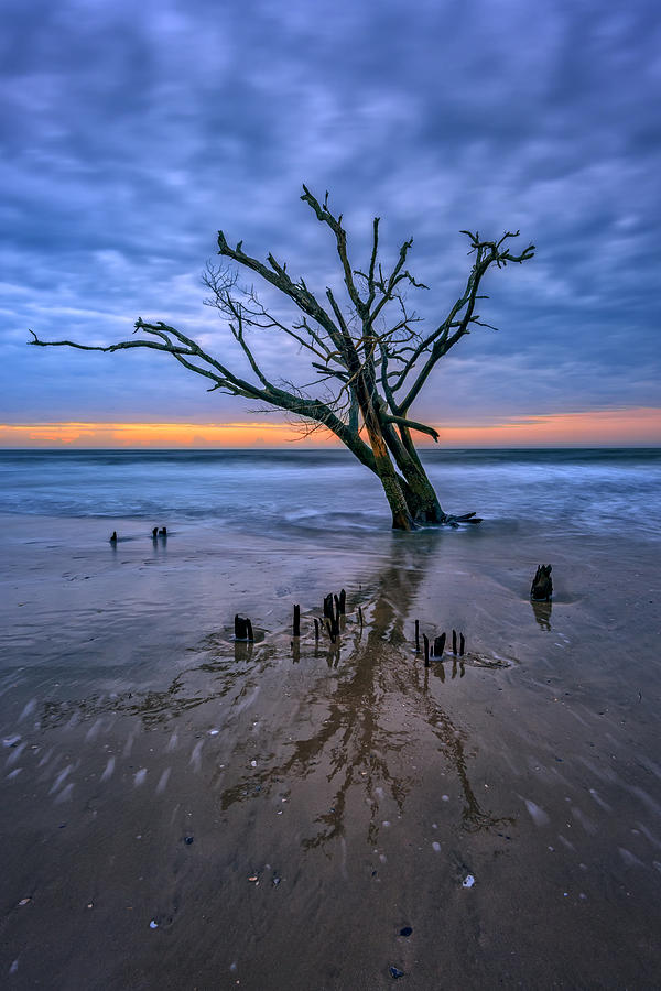 Beach Photograph - Botany Bay Boneyard by Rick Berk