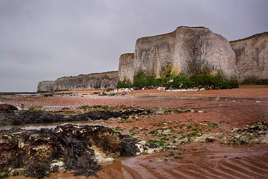 Botany Bay Photograph by Dave Godden | Fine Art America