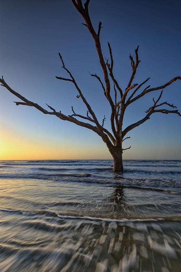 Beach Photograph - Botany Bay Dawn by Rick Berk