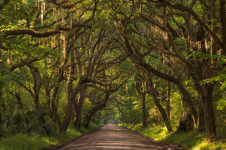 Botany Bay Photograph by Drew Castelhano - Fine Art America