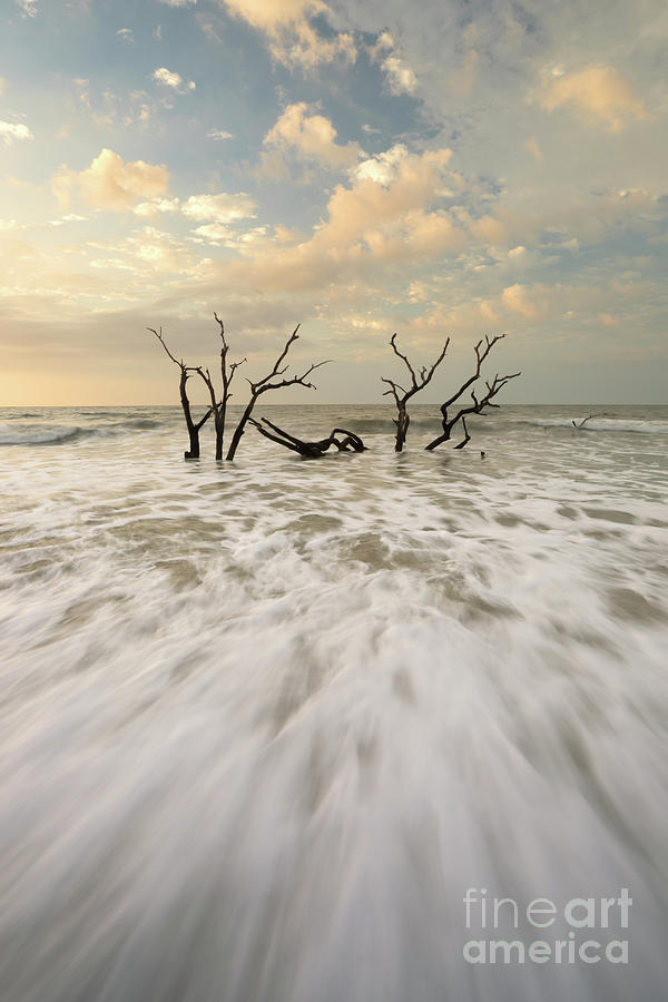 Botany Bay in South Carolina Photograph by Benedict Heekwan Yang