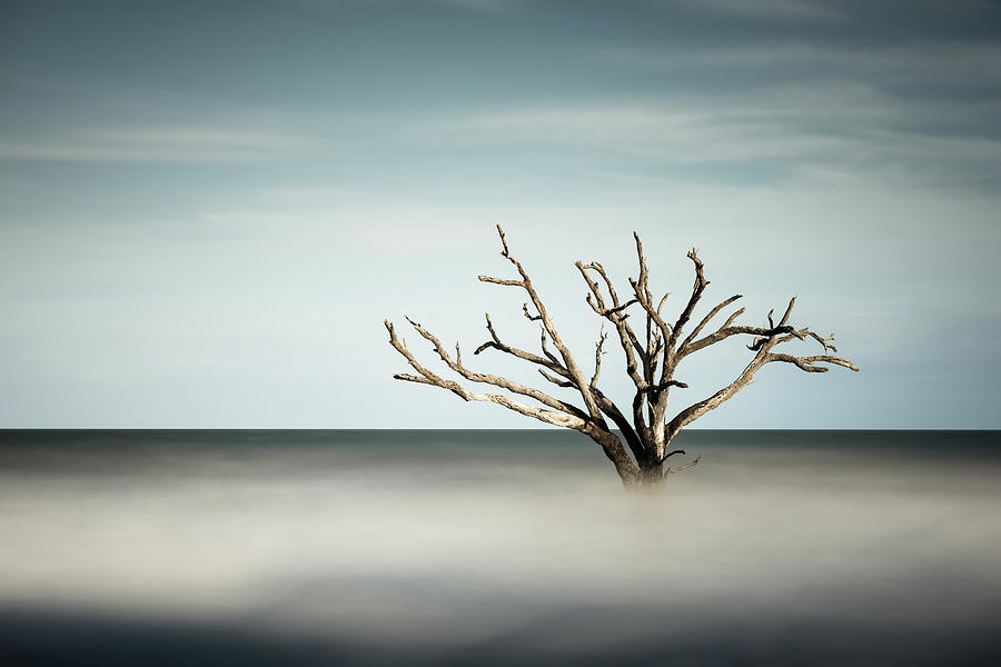 Botany Bay Photograph by Ivo Kerssemakers