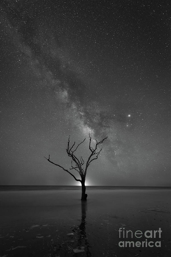 Botany Bay Plantation Milky Way BW Photograph by Michael Ver Sprill