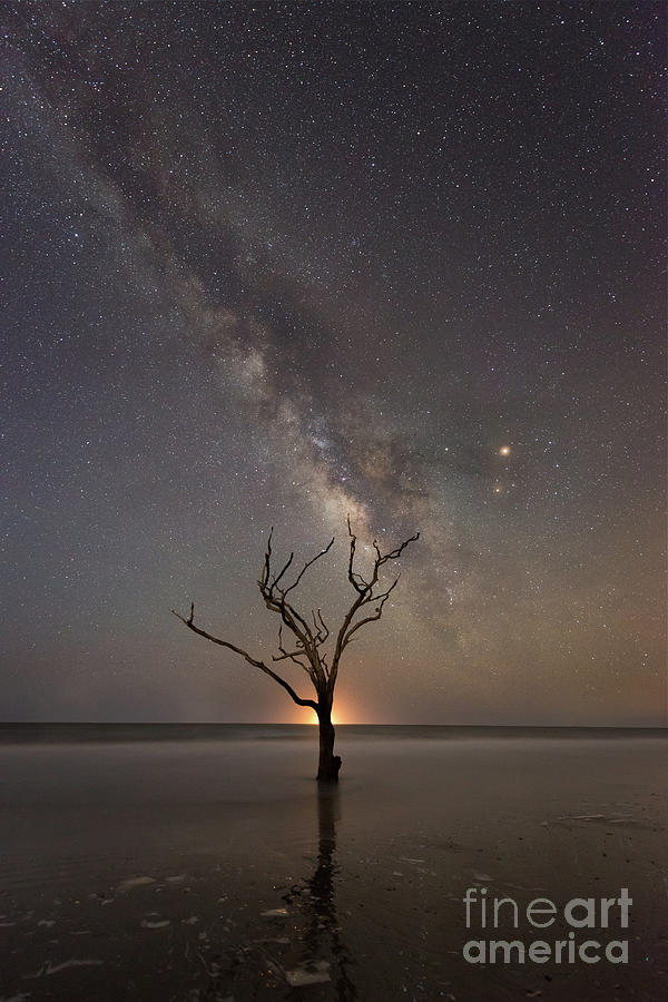 Botany Bay Plantation Milky Way  Photograph by Michael Ver Sprill