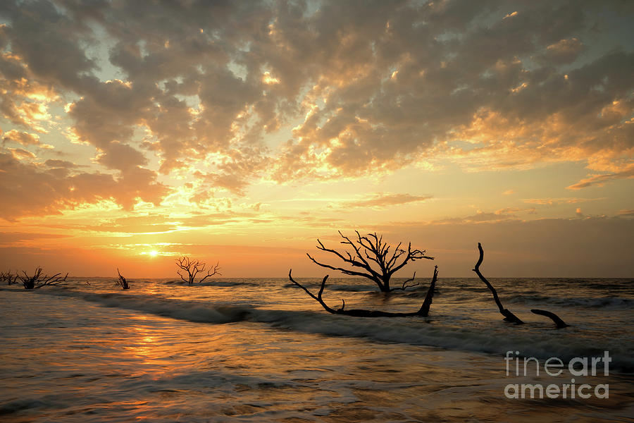Botany Bay Sunrise Photograph by Benedict Heekwan Yang