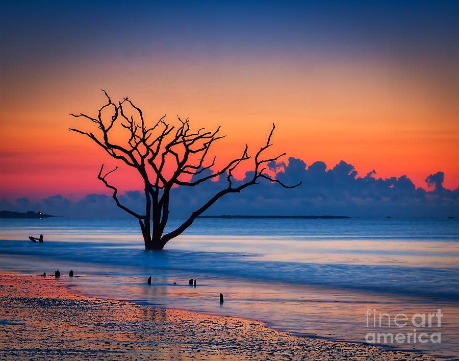 Botany Bay sunrise Photograph by Izet Kapetanovic