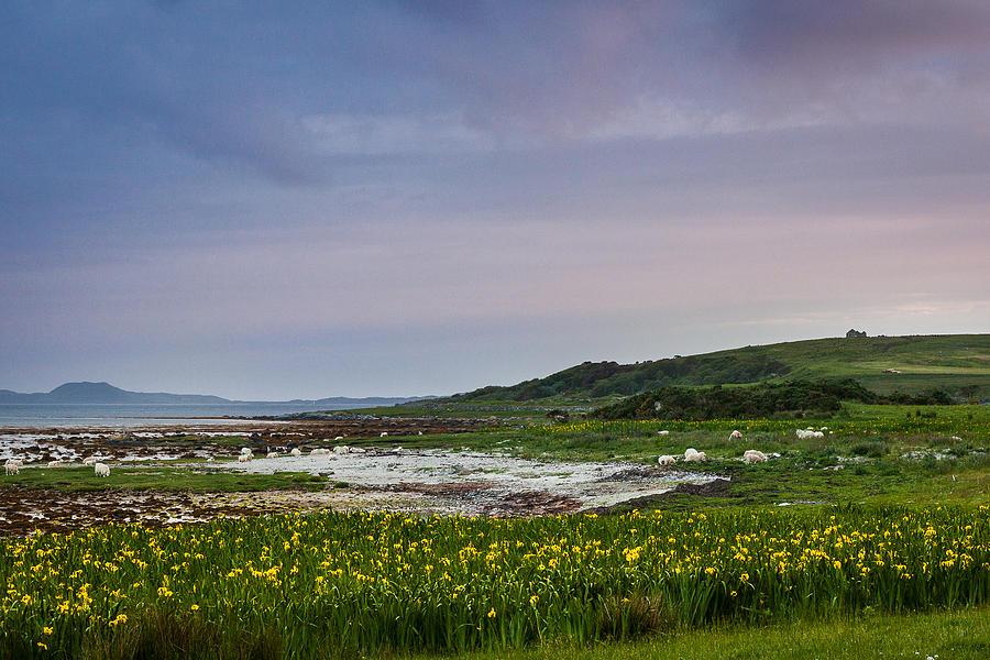 Sunset Photograph - Bothie on The Point by Chris Dale Sunset Photograph - Bothie on The Point by Chris Dale