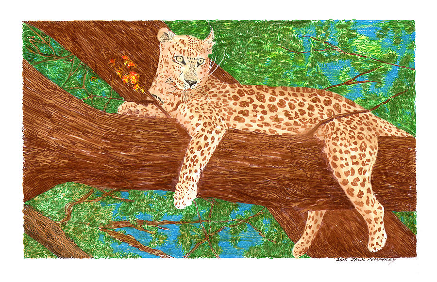 Botswana Leopard Drawing by Jack Pumphrey