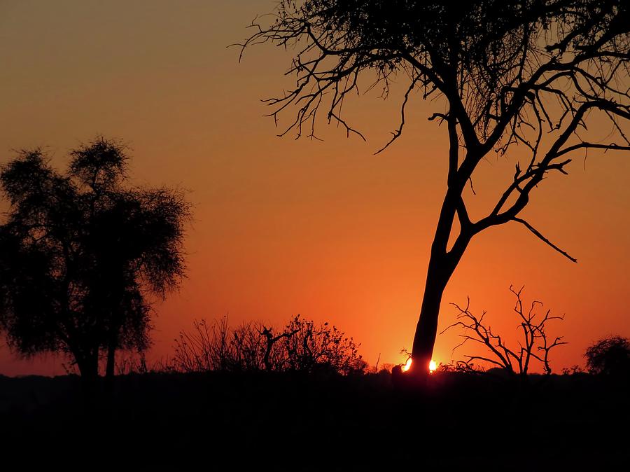 Botswana Sunrise Photograph by Jennifer Wheatley Wolf