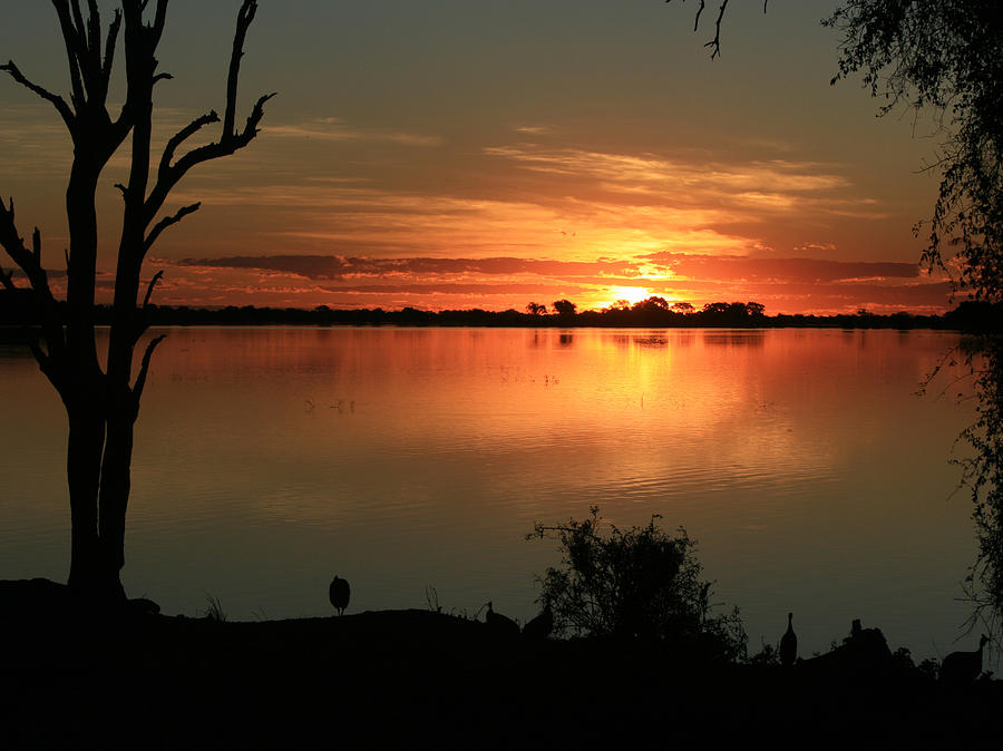Botswanna Sunset Photograph by Karen Zuk Rosenblatt