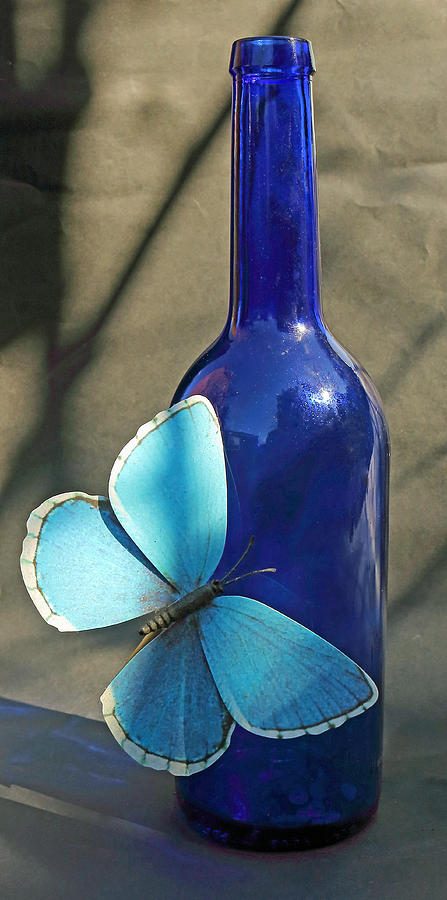Bottle and Butterfly Photograph by Jeff Townsend