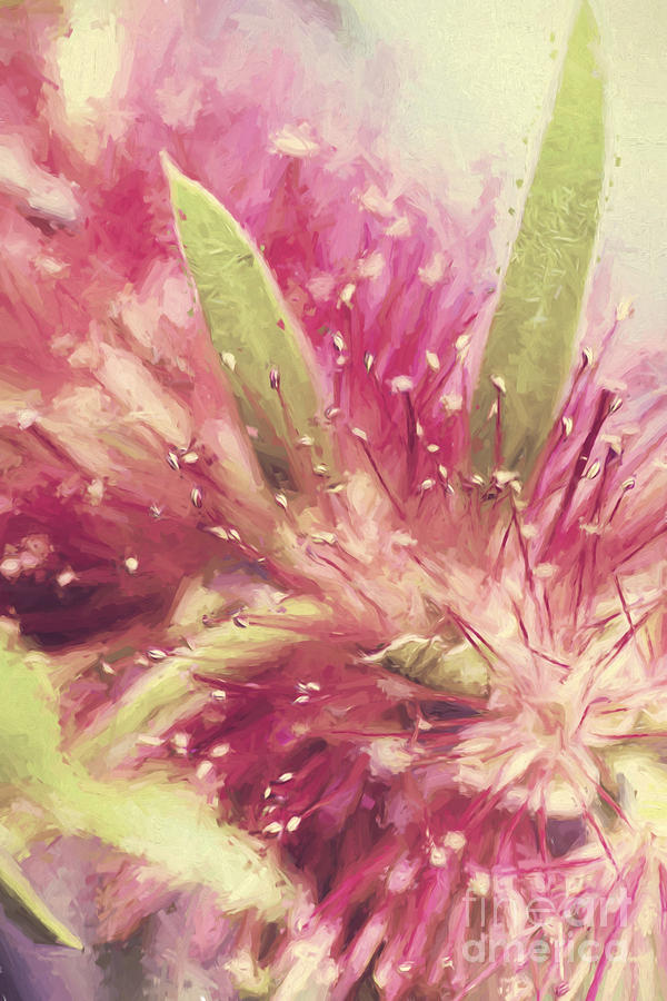 Bottle Brush flower species digital painting Photograph by Jorgo Photography