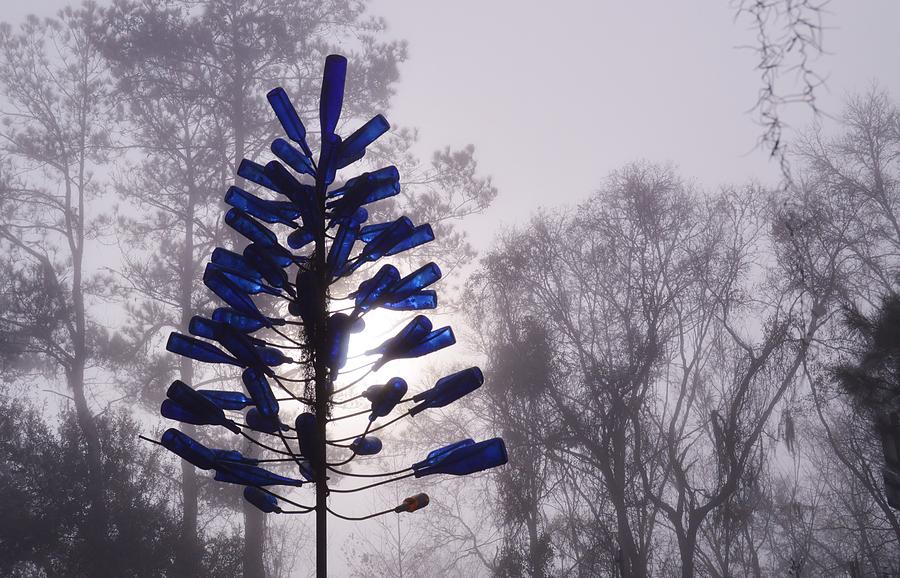 Bottle Tree and Fog Photograph by Warren Thompson