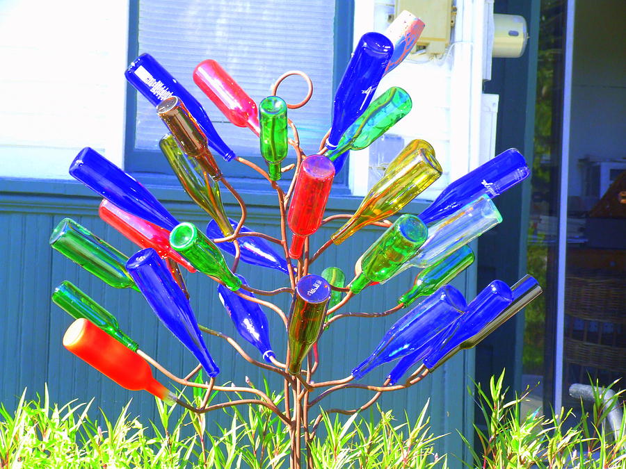 Bottle Tree Photograph by James Johnson - Fine Art America