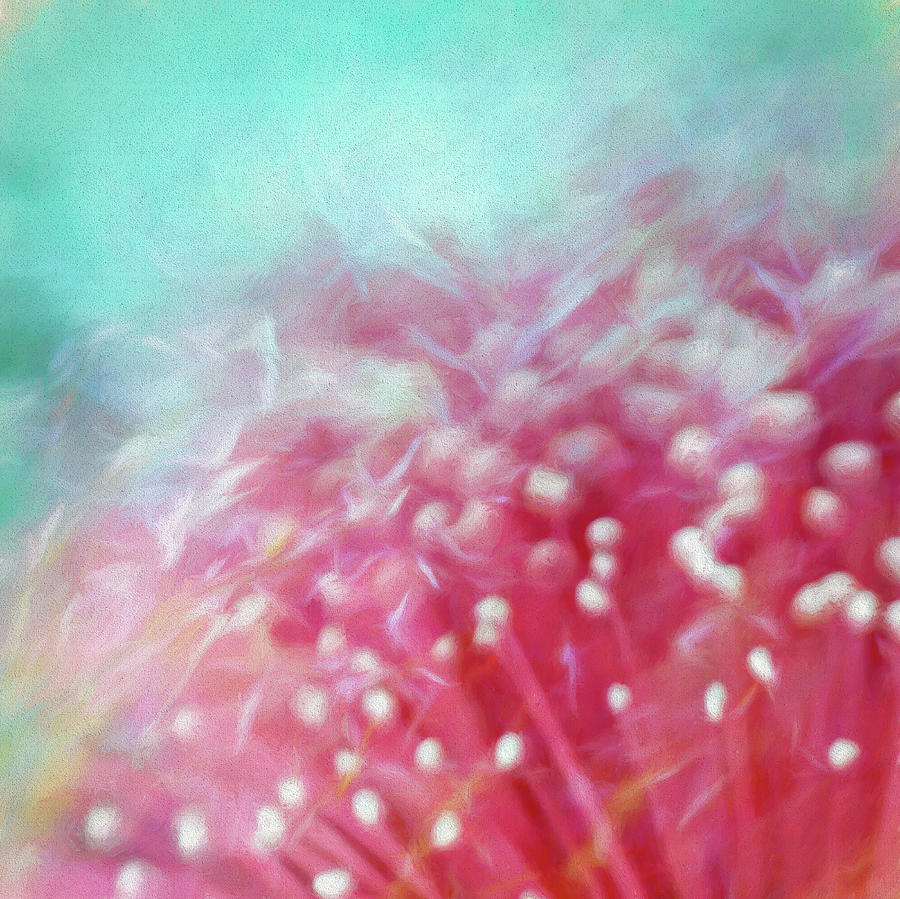 Bottlebrush and Wild Grass Abstract Photograph by Sheryl Karas