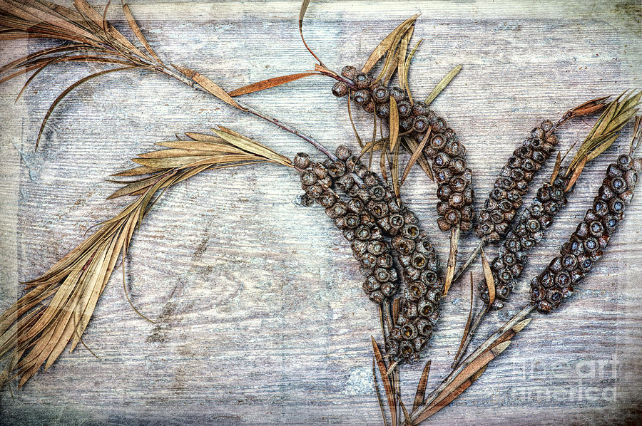 Pressed Dried Flowers Spiral Notebook by Tim Gainey - Fine Art America