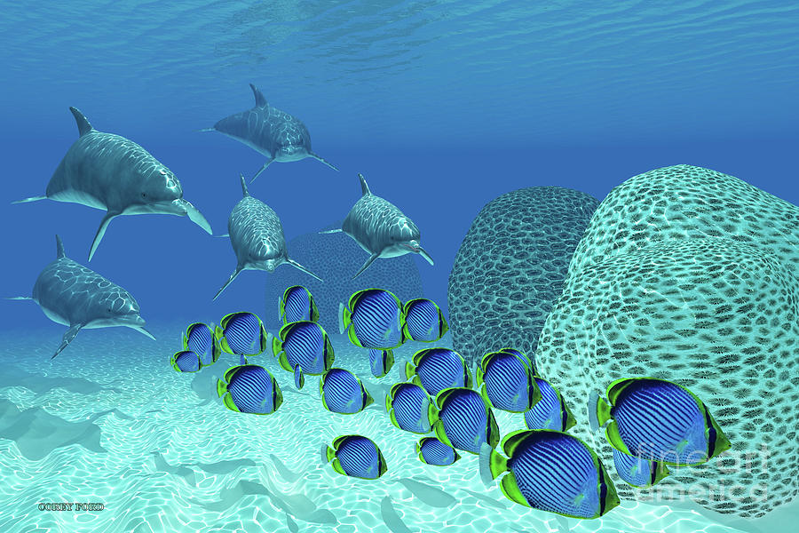 Bottlenose Dolphins Underwater Digital Art by Corey Ford
