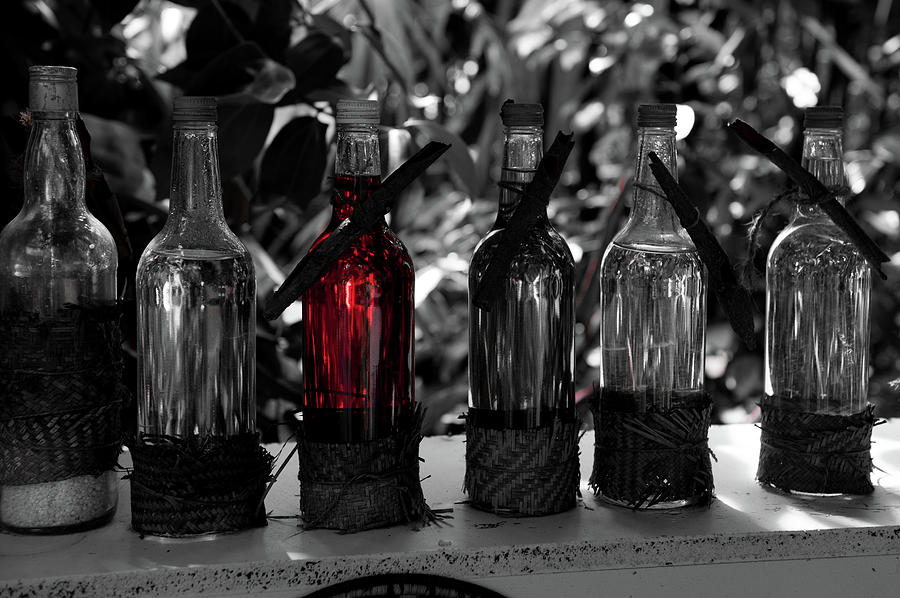 Bottles in a Row No. 4 Photograph by Helen Jackson