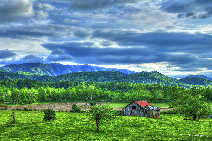 Bottom Land Great Smoky Mountains Art Photograph by Reid Callaway