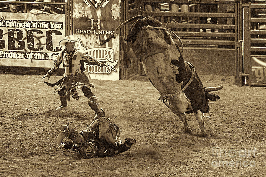 Rodeo Photograph - Bottoms up by Dan Friend