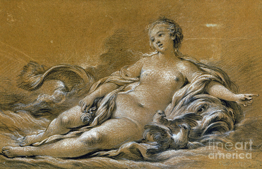 Boucher: Venus Photograph by Granger