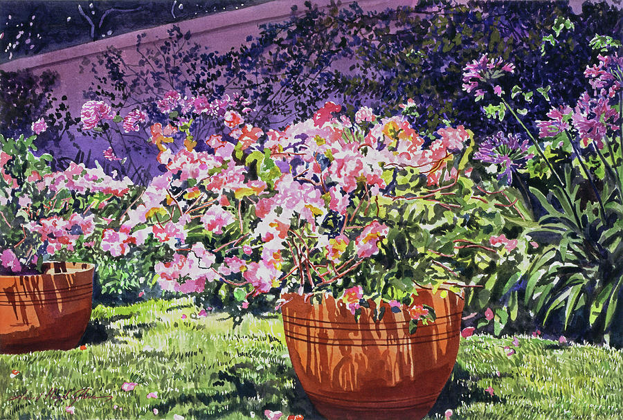 Garden Painting -  Bougainvillea Flower Pots Beverly Hills by David Lloyd Glover